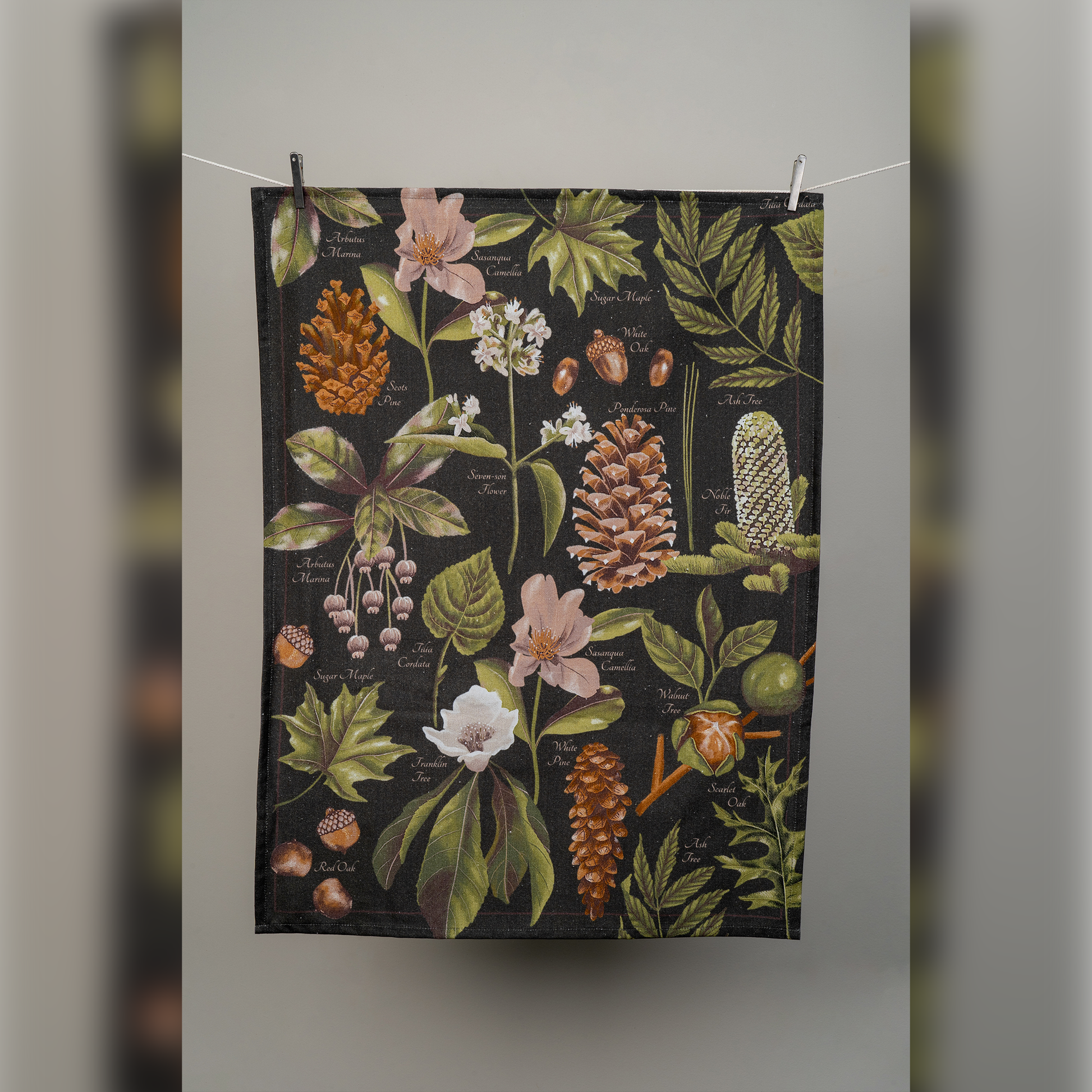 Pines And Cones Digital Printed Kitchen Towel-(Set/2)